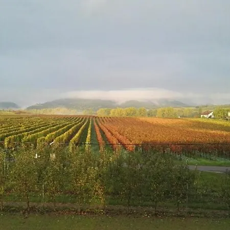 Valley Ferienwohnung Suew Heuchelheim-Klingen Экстерьер фото