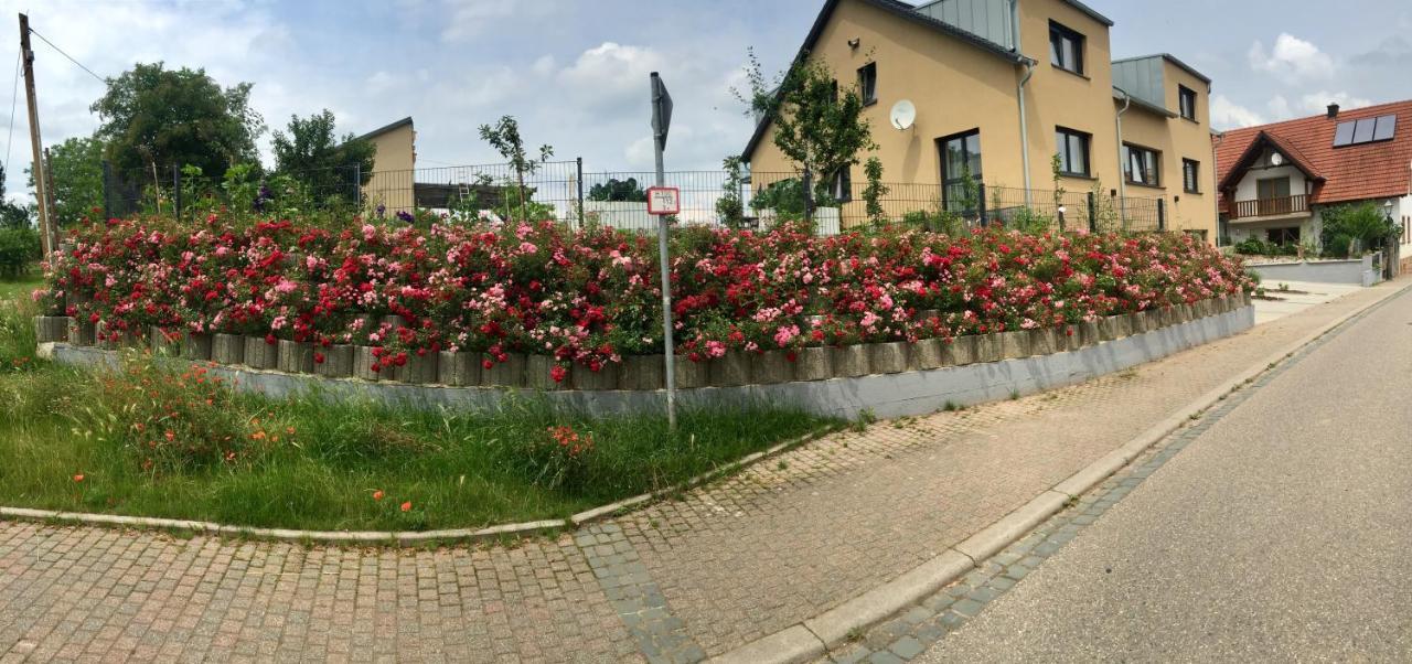Apartment Valley Suew *