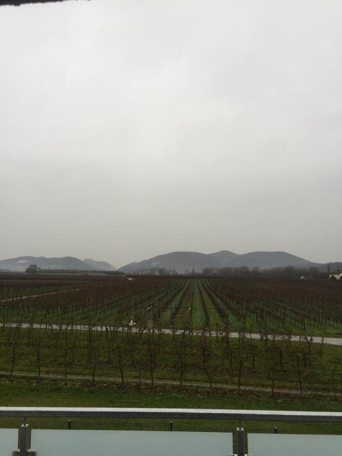Valley Suew